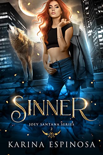 Sinner book cover