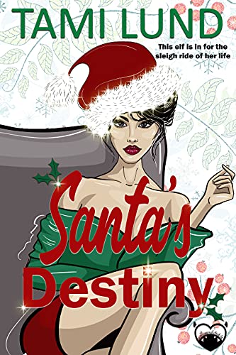 Santa's Destiny book cover