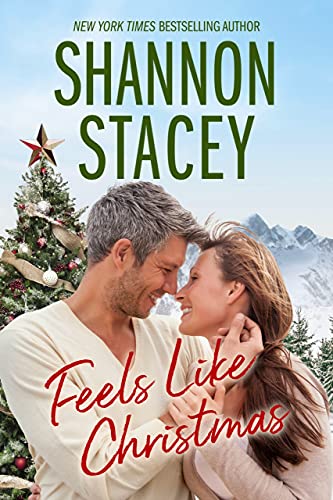 Feels Like Christmas book cover