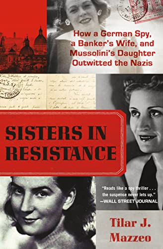 Sisters in Resistance book cover