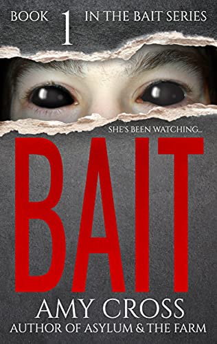 Bait book cover