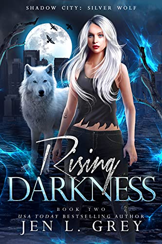 Rising Darkness book cover