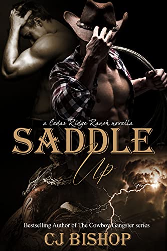 Saddle Up book cover