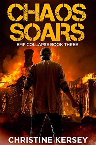 Chaos Soars book cover