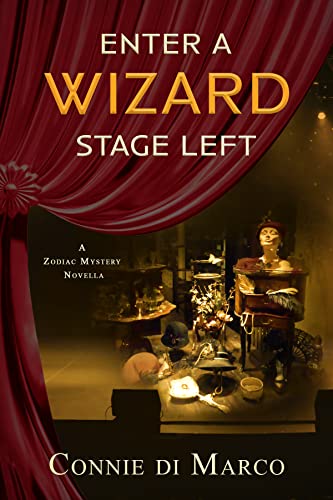 Enter a Wizard, Stage Left book cover