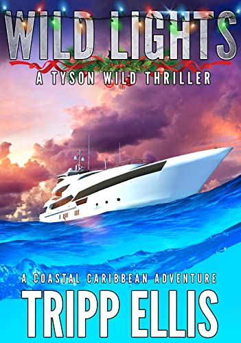 Wild Lights book cover