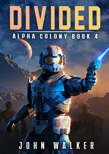 Divided book cover