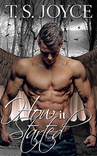 How It Started book cover