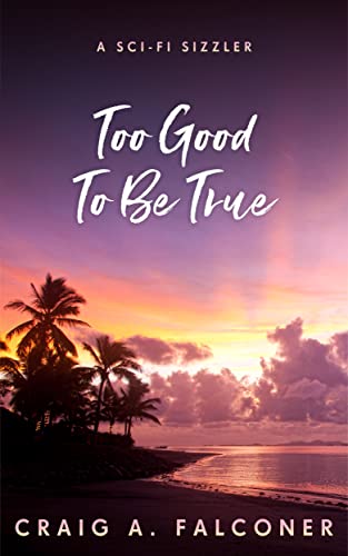 Too Good To Be True book cover