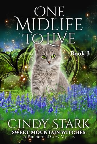 One Midlife to Live cover