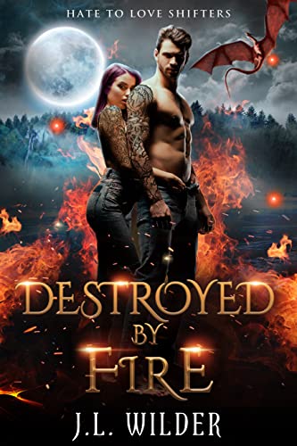 Destroyed by Fire book cover