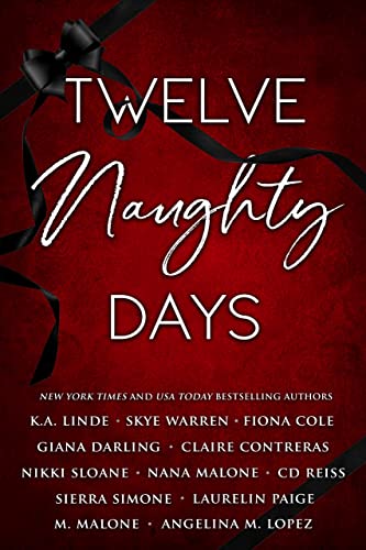 Twelve Naughty Days book cover