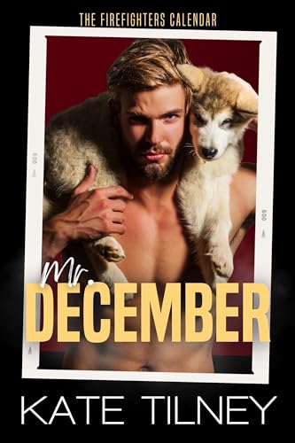 Mr. December book cover