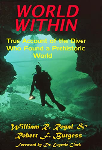 World Within book cover
