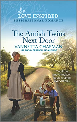 The Amish Twins Next Door book cover
