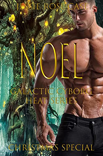 Bad Noel book cover