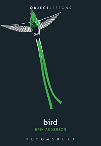 Bird book cover