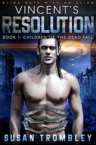 Vincent's Resolution book cover