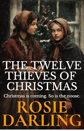 The Twelve Thieves of Christmas book cover