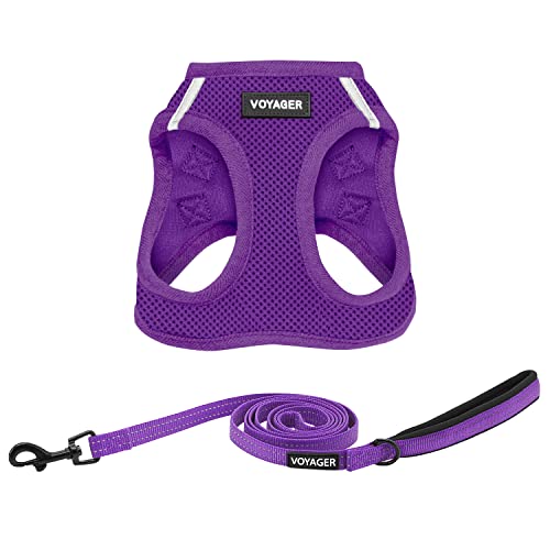 Voyager Step-in Air All Weather Mesh Harness and Reflective Dog 5 ft Leash Combo with Neoprene Handle, for Small, Medium and Large Breed Puppies by Best Pet Supplies - Leash Harness (Purple), M