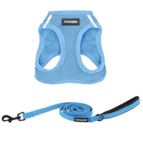 Voyager Step-in Air All Weather Mesh Harness and Reflective Dog 5 ft Leash Combo with Neoprene Handle, for Small, Medium and Large Breed Puppies by Best Pet Supplies - Leash Harness (Baby Blue), S