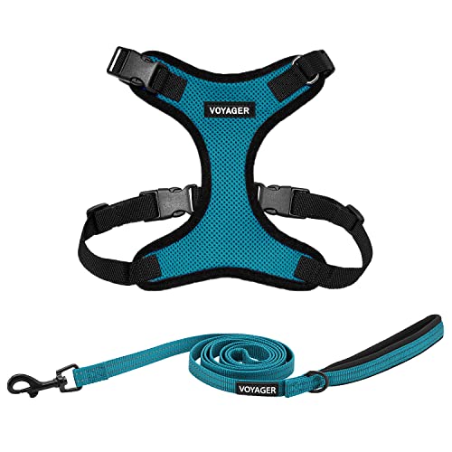 Voyager Step-in Lock Dog Harness w Reflective Dog Leash Combo Set with Neoprene Handle 5ft - Supports Small, Medium and Large Breed Puppies/Cats by Best Pet Supplies - Turquoise/Black Trim, S