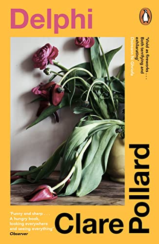 Delphi book cover