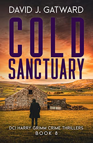 Cold Sanctuary book cover
