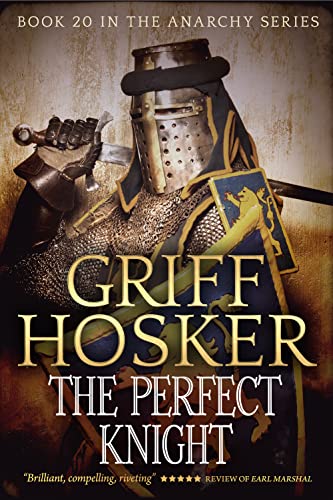 The Perfect Knight book cover
