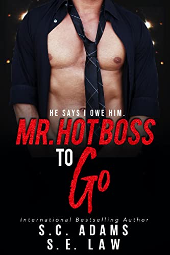 Mr. Hot Boss To Go book cover