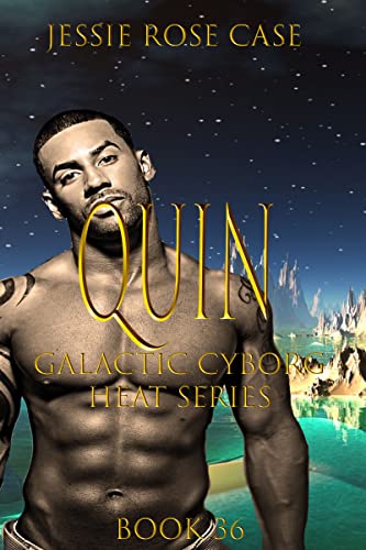 Quin book cover