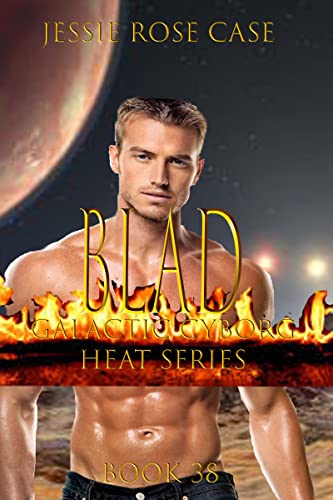 Blad book cover