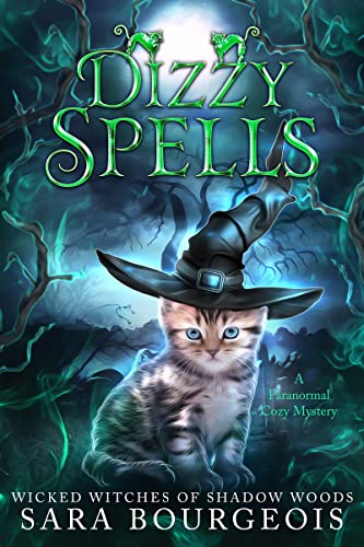 Dizzy Spells book cover