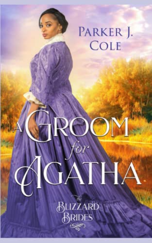 A Groom for Agatha book cover