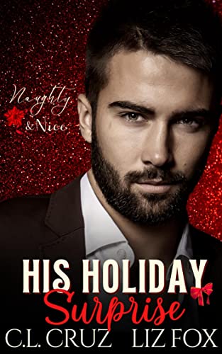 His Holiday Surprise book cover