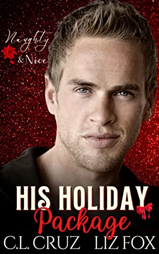 His Holiday Package book cover