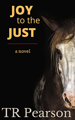 Joy To The Just book cover