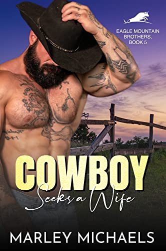 Cowboy Seeks a Wife book cover