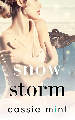 Snow Storm book cover