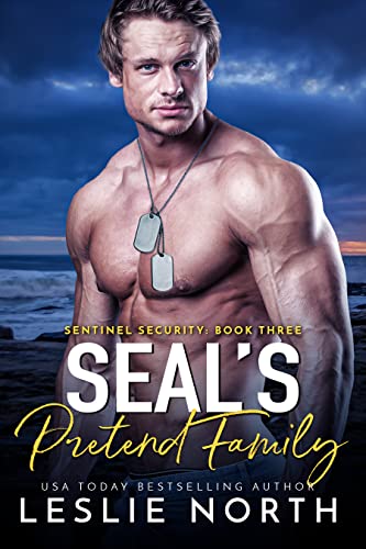 SEAL's Pretend Family cover