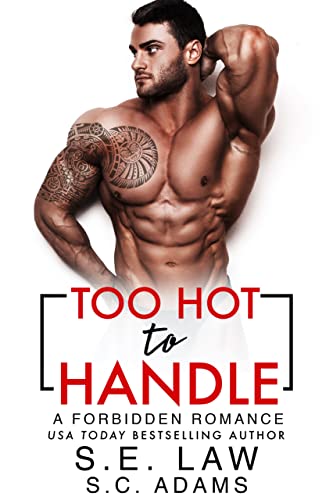 Too Hot To Handle book cover