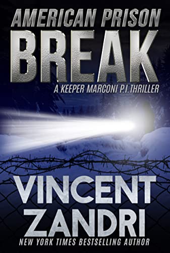 American Prison Break book cover