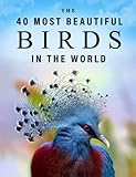 The 40 Most Beautiful Birds in the World: A full color picture book for Seniors with Alzheimer's or Dementia (The Most Beautiful World Series)