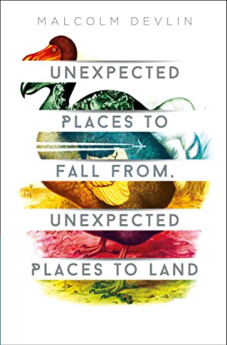 Unexpected Places to Fall From, Unexpected Places to Land book cover