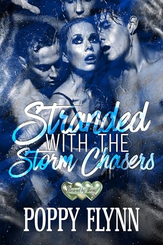 Stranded with the Storm Chasers (By: Poppy Flynn) cover