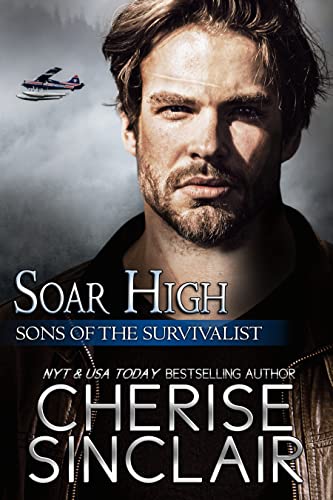 Soar High book cover