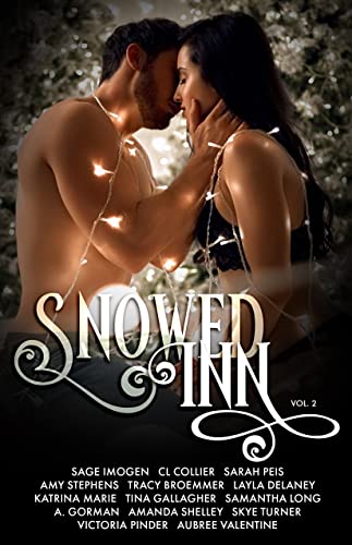 Snowed Inn: Volume 2 book cover