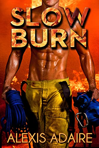 Slow Burn book cover