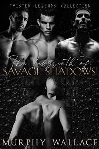 The Labyrinth of Savage Shadows book cover