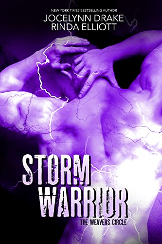 Storm Warrior book cover